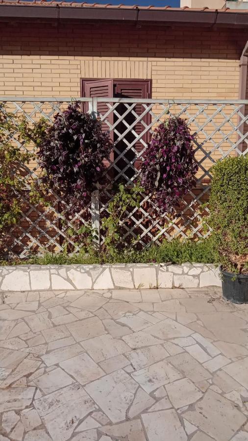 Rosilienza Suites Private Spa, Patio Garden Free Trasfer To & From Airport Fiumicino Eksteriør billede